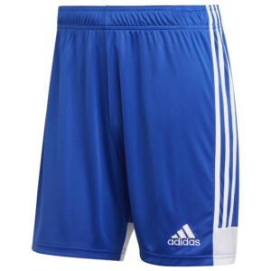 Adidas Tastigo 19 Shorts Azul XS / Regular Hombre