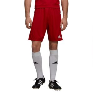 Adidas Badminton Team 19 Knit Shorts Rojo XS / Regular Hombre