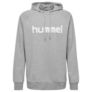 Hummel Go Logo Hoodie Gris 14 Years Niño