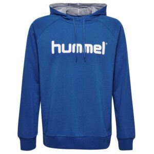 Hummel Go Logo Hoodie Azul 10 Years Niño
