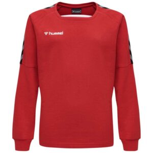 Hummel Authentic Training Sweatshirt Rojo 10 Years Niño