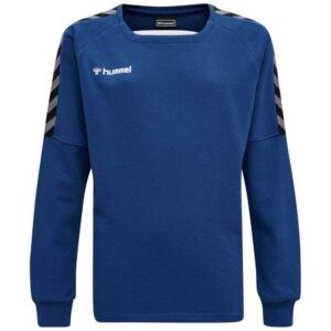 Hummel Authentic Training Sweatshirt Azul 16 Years Niño