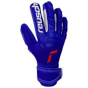 Reusch Attrakt Freegel Silver Goalkeeper Gloves Azul 8 1/2