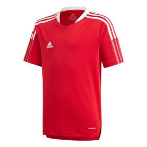 Adidas Tiro 21 Training Short Sleeve T-shirt Rojo 15-16 Years Niño