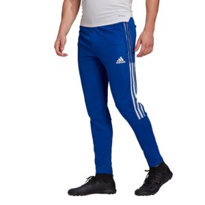 Adidas Tiro 21 Training Pants Azul S / Regular Hombre