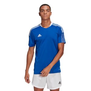 Adidas Tiro 21 Training Short Sleeve T-shirt Azul S / Regular Hombre