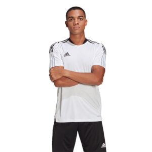 Adidas Tiro 21 Training Short Sleeve T-shirt Blanco XS / Regular Hombre