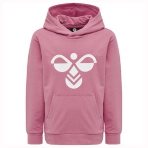 Hummel Cuatro Hoodie Rosa 5 Years Niño