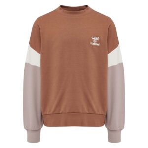 Hummel Betzy Sweatshirt Marrón 5 Years Niño