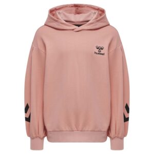 Hummel Due Sweatshirt Rosa 4 Years Niño