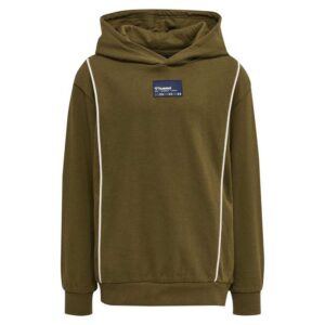 Hummel Ditmer Hoodie Verde 4 Years Niño