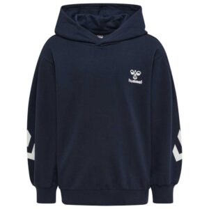 Hummel Due Hoodie Azul 6 Years Niño