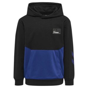Hummel Edward Hoodie Azul,Negro 4 Years Niño