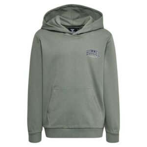 Hummel Fast Hoodie Verde 5 Years Niño