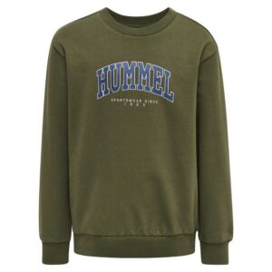 Hummel Fast Sweatshirt Verde 8 Years Niño
