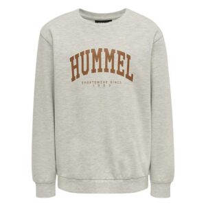Hummel Fast Sweatshirt Gris 16 Years Niño