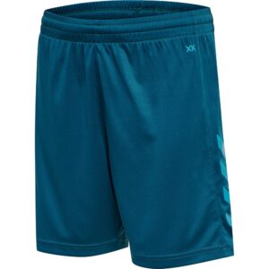 Hummel Hmlhmlcore Shorts Azul XL Hombre