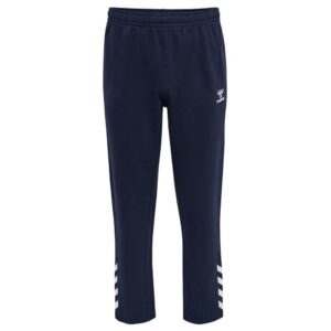 Hummel Core Xk Gk Cotton Pants Azul L Hombre